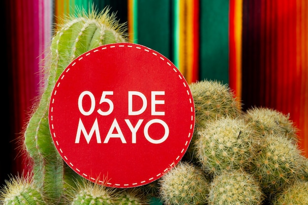 Free Photo cactus and 5th of may sign for mexican party