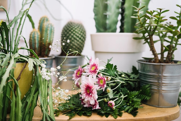 Cactus floral composition