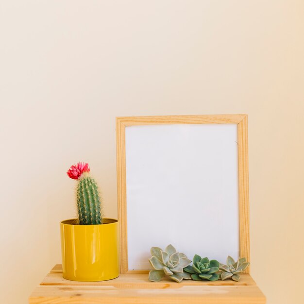 Cactus and frame