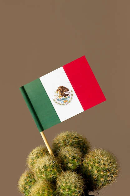 Free photo cactus and mexican flag for 5th of may