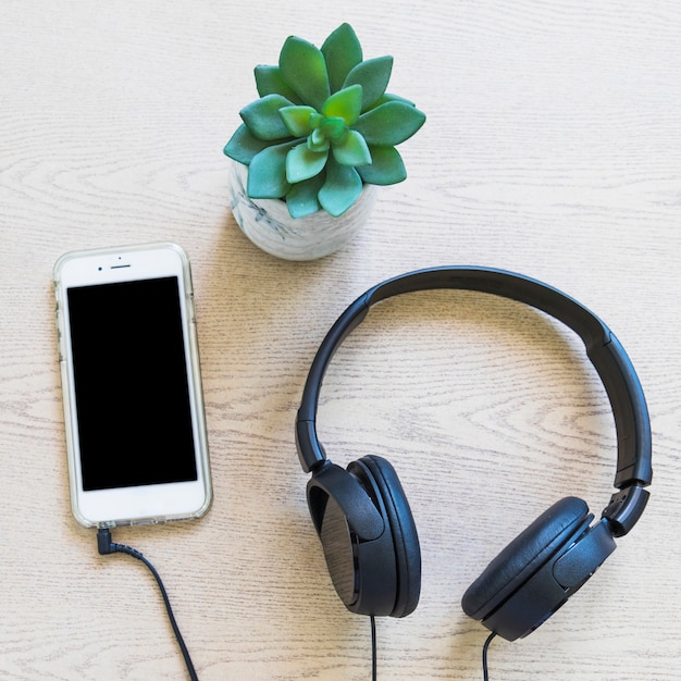 Free Photo cactus plant; cellphone and headphone on wooden plant