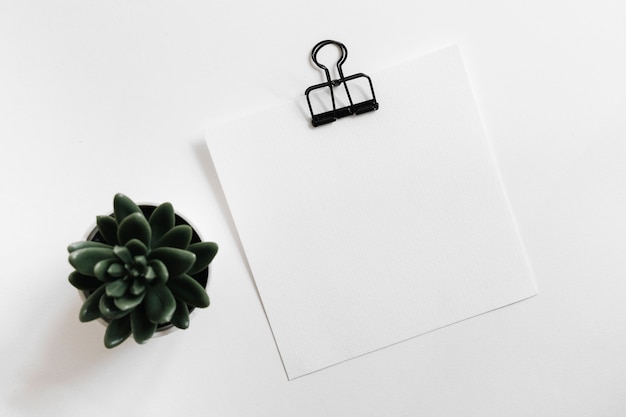 Cactus pot plant with white blank paper with paperclip on white background