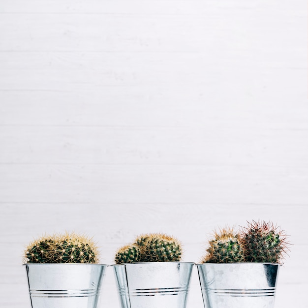 Free Photo cactus pot plants against wooden background