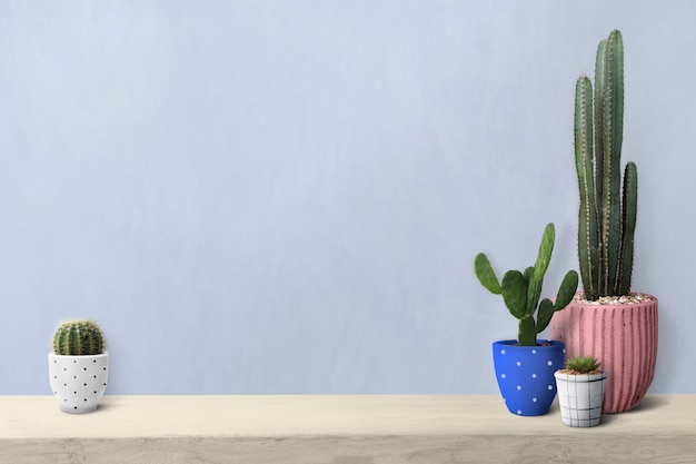 Free photo cactus on a shelf by a blank wall background