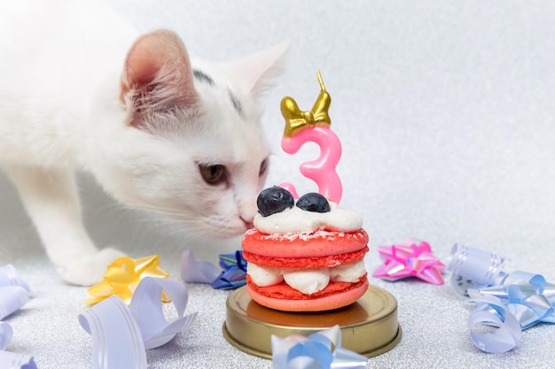 Free photo cake macaron composition with cat number three in the cake tapes and shiny silver background