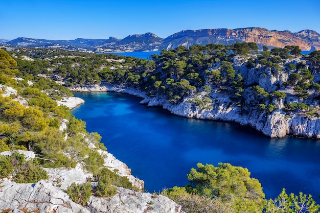 Calanques of Port Pin in Cassis in France near Marseille