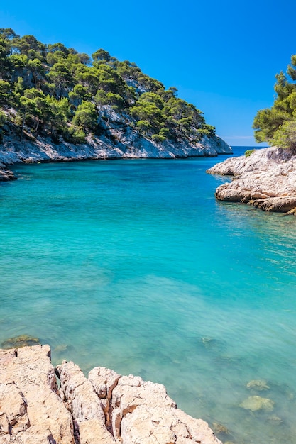 Calanques of Port Pin in Cassis, near Marseille, France