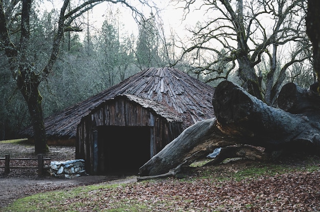 Free Photo california native american ceremonial roundhouse with a big felled tree  an the side