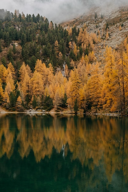 Free photo calm lake and low flying clouds covering a rough mountain covered with colorful autumn foliage