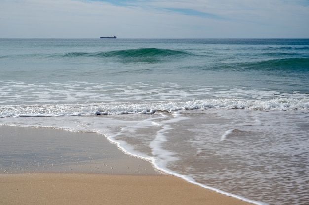 Free photo calm ocean at the sunshine coast of queensland, australia