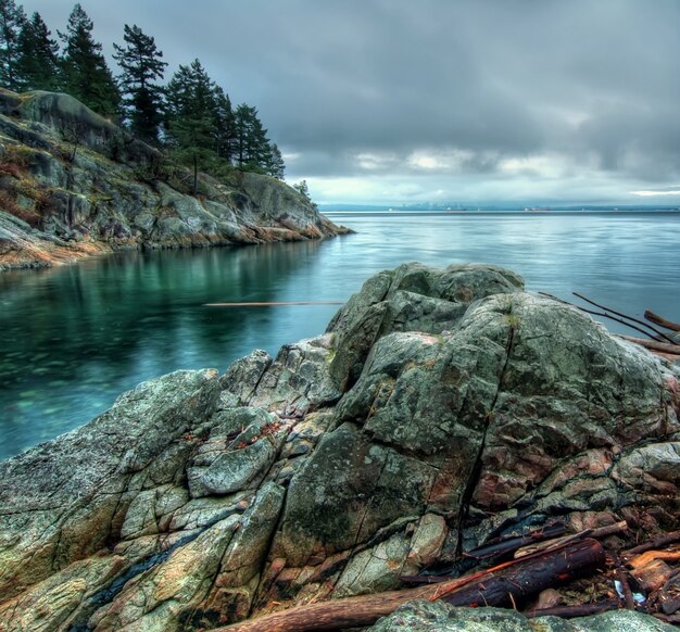 Calm Sea Beside Rock Formation With Trees Nature