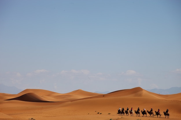 Camel caravan in a desert in Xinjiang, China