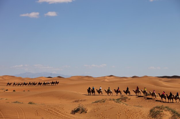 Camel caravan in a desert in Xinjiang, China