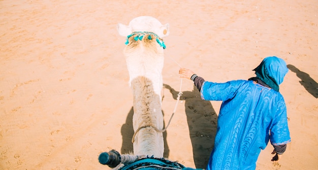 Free Photo camel in desert landscape in morocco