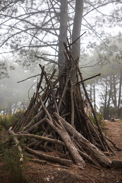 Free Photo camper life concept with branches shelter