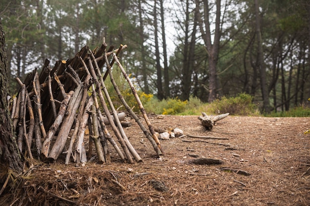 Free Photo camper life concept with branches shelter