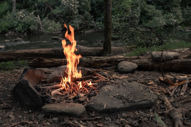 Campfire surrounded by greenery and rocks with a river in a forest