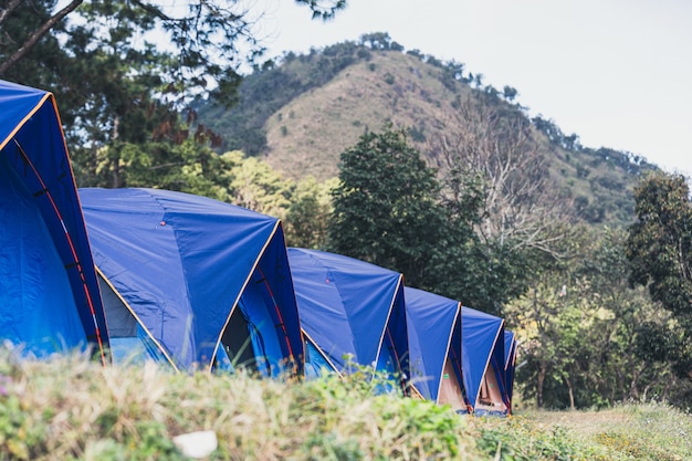 Camping in nature on winter season