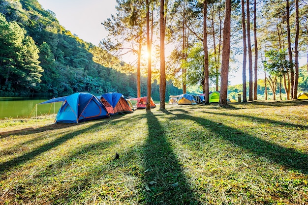 Free photo camping tents under pine trees with sunlight at pang ung lake, mae hong son in thailand.