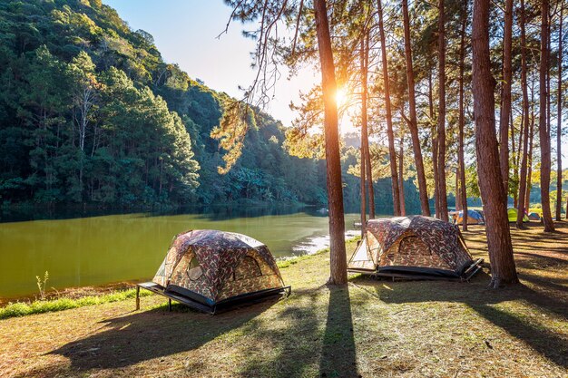 Camping tents under pine trees with sunlight at Pang Ung lake, Mae Hong Son in THAILAND.