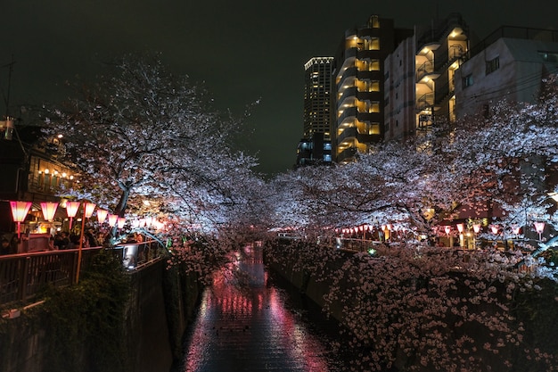 Free photo canal decorated by the beautiful trees and surrounded by skyscrapers