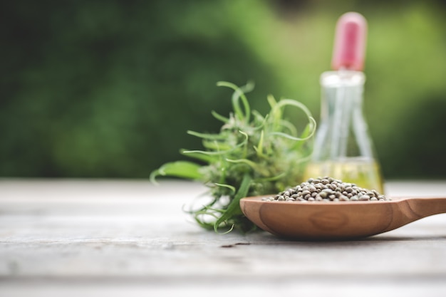 Cannabis, Cannabis seeds, Cannabis oil Placed on a wooden floor With a green tree  in the background.