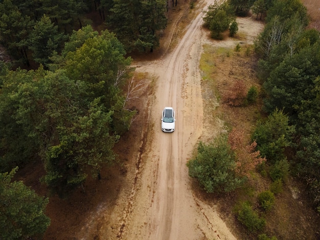 Free photo car on a dirt road by the forest