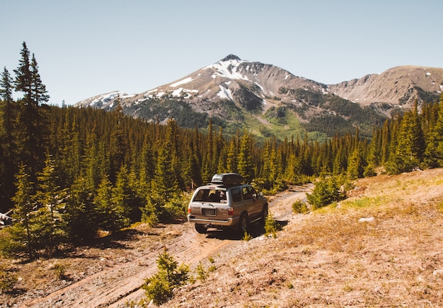 Car driving on a pathway in the middle of trees with mountain and a clear sky 