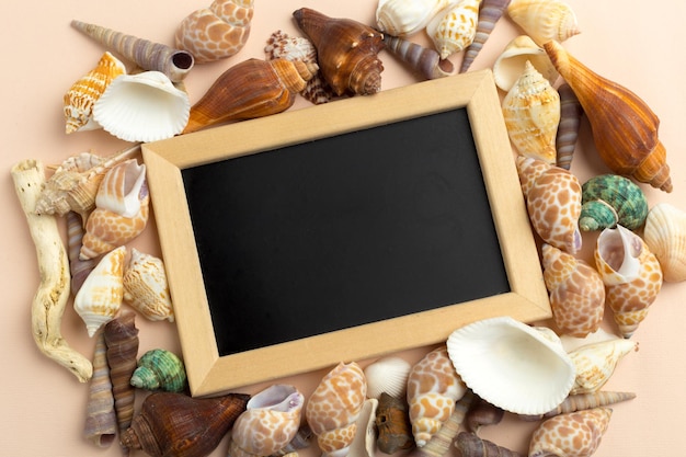 Card with seashell greeting from the sea