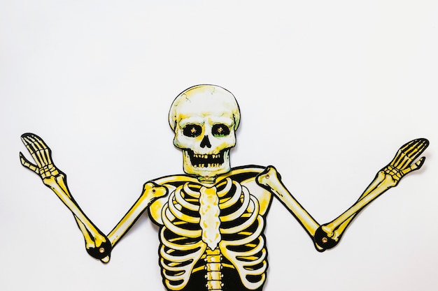 Free Photo cardboard skeleton on white background