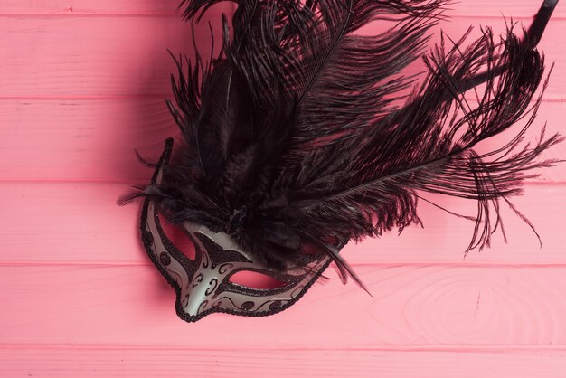 Free photo carnival mask with black feathers