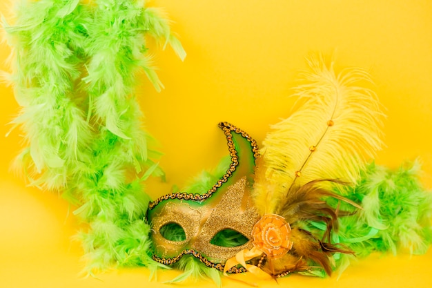 Carnival mask with feathers