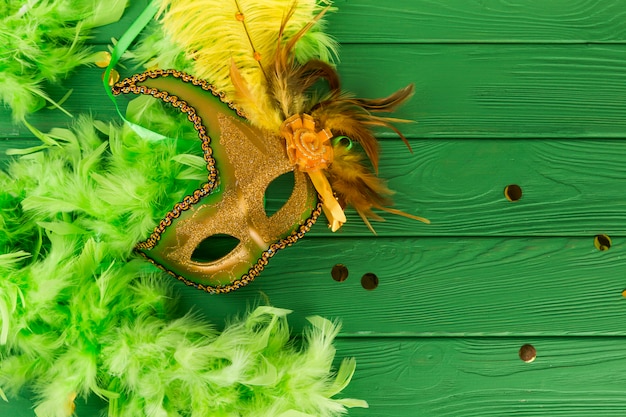 Carnival mask with feathers