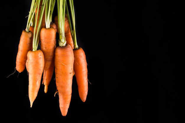 Carrots on black background with copy space