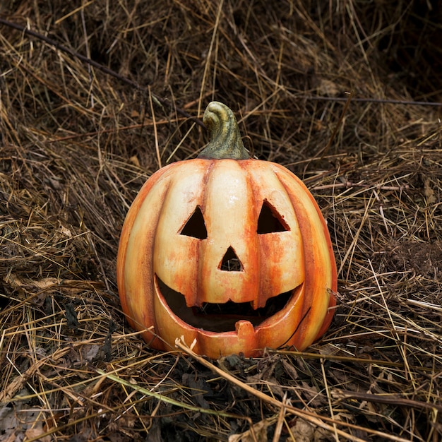 Carved out pumpkin on dried leaves