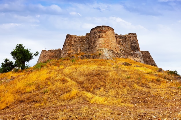 Free photo castle of sagunto in summer