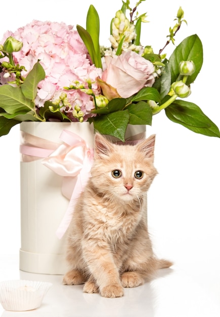 Free photo the cat with flowers