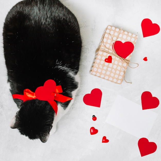 Free Photo cat with ribbon near present box and ornament hearts 