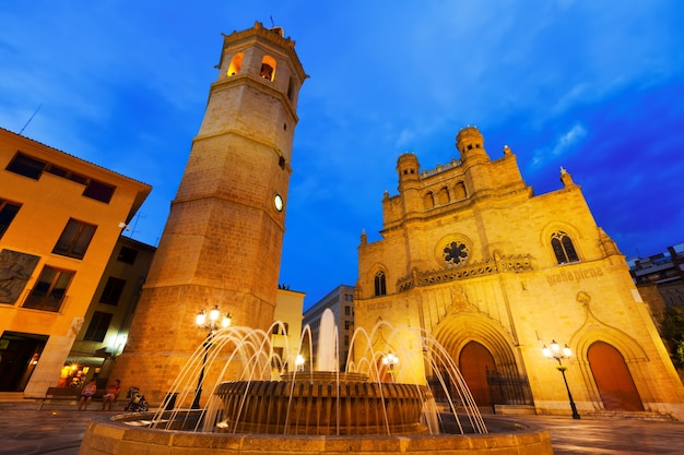 Cathedral  at Castellon de la Plana in night. Spain