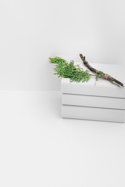 Free photo cedar branch on book stacked against white background