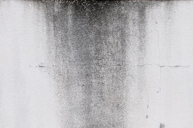 Free photo cement abstract copy space texture or background