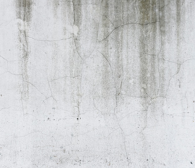 Free Photo cement concrete background texture grunge design concept