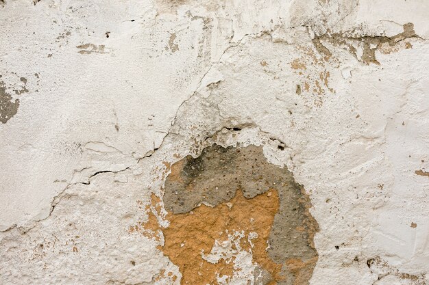 Cement and plaster rough surface