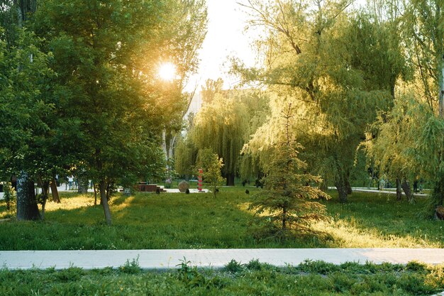 Cement walking path in a beautiful park