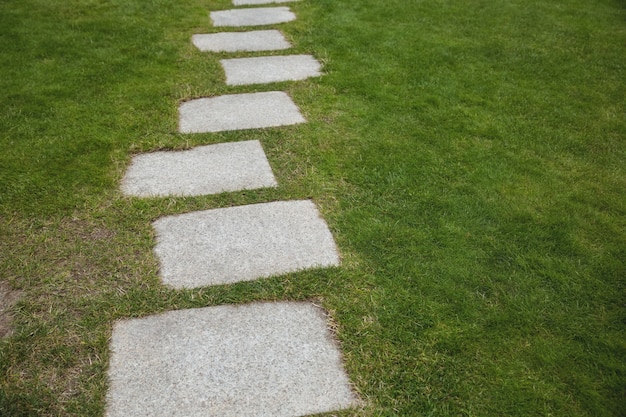 Free Photo cement walkway in the garden