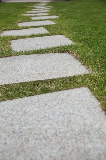 Free photo cement walkway in the garden