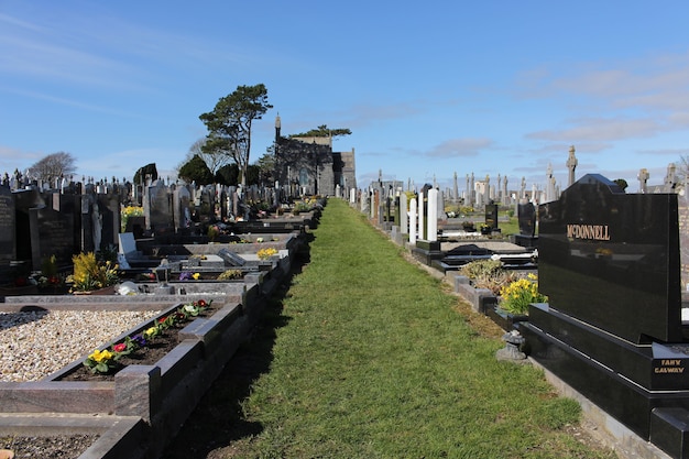 Free photo cemetery garden path