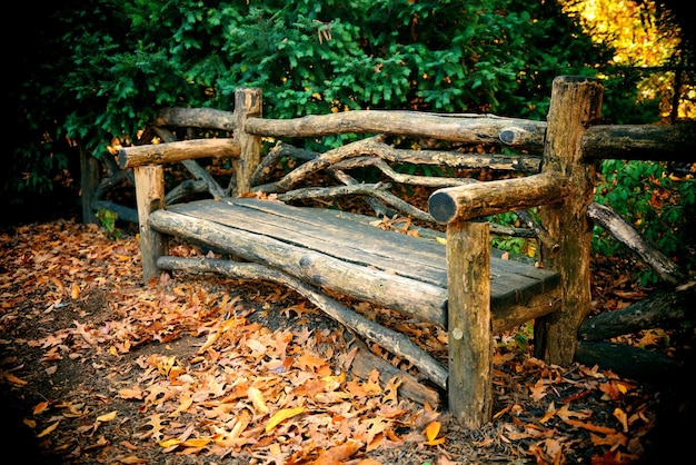 Free photo central park autumn bench in midtown manhattan new york city