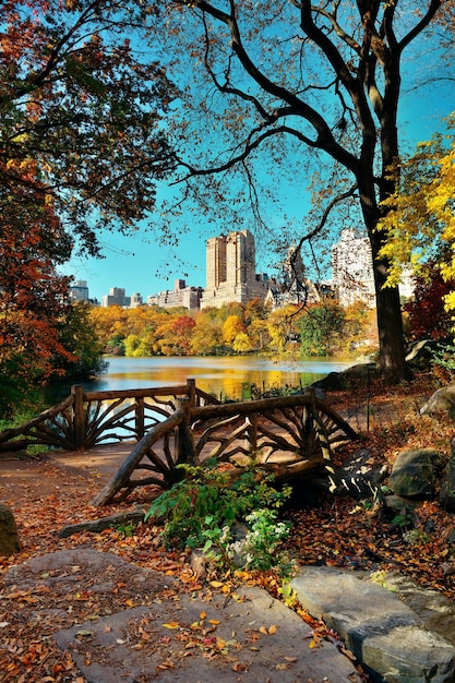 Central Park Autumn and buildings in midtown Manhattan New York City