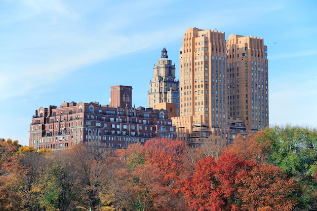 Free photo central park autumn